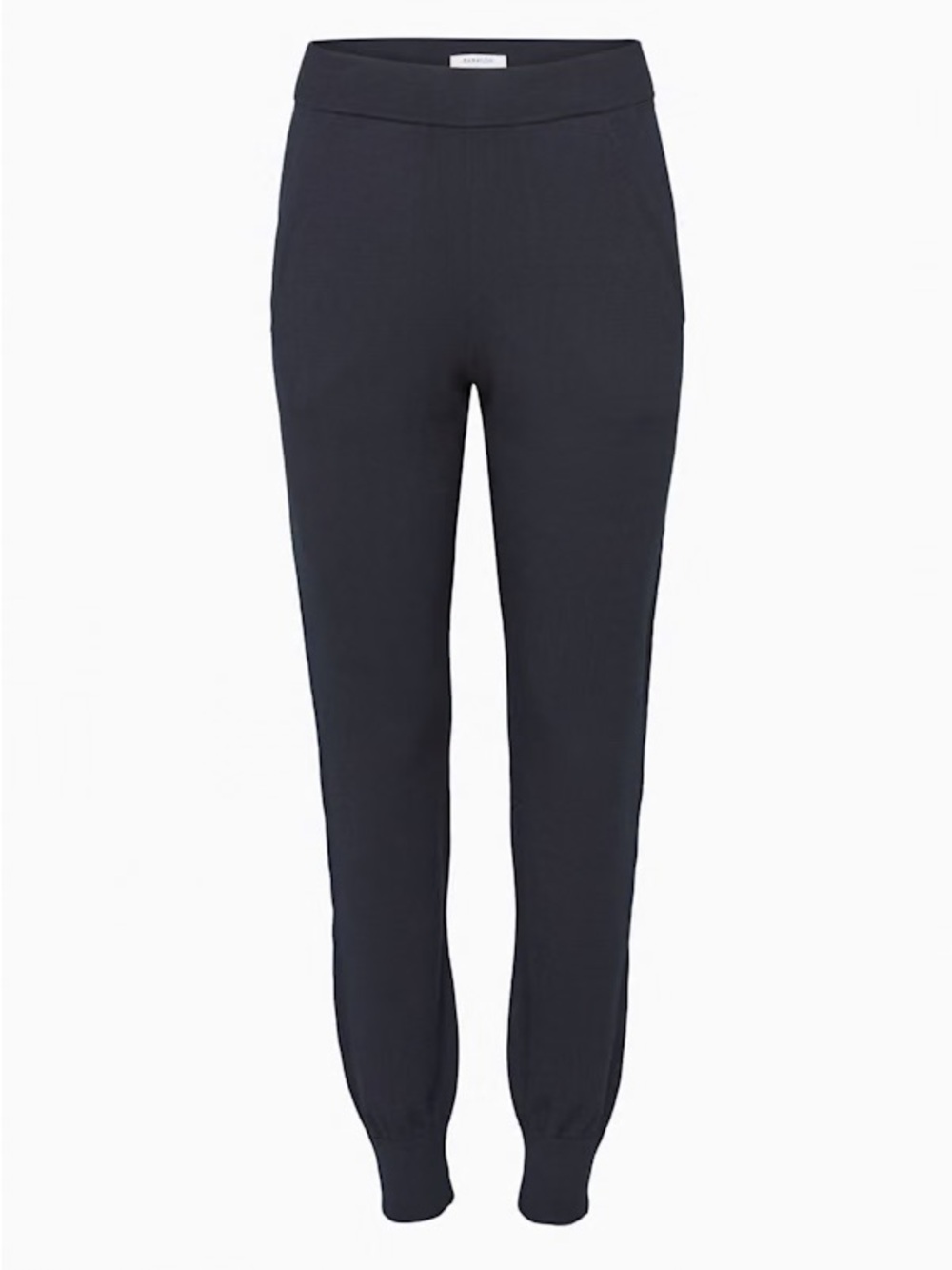 Aritzia Babaton Rodin Jogger — Sky Captain, Size M